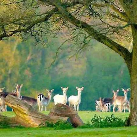 New Forest Retreat Shorefield Country Park Lymington Bagian luar foto